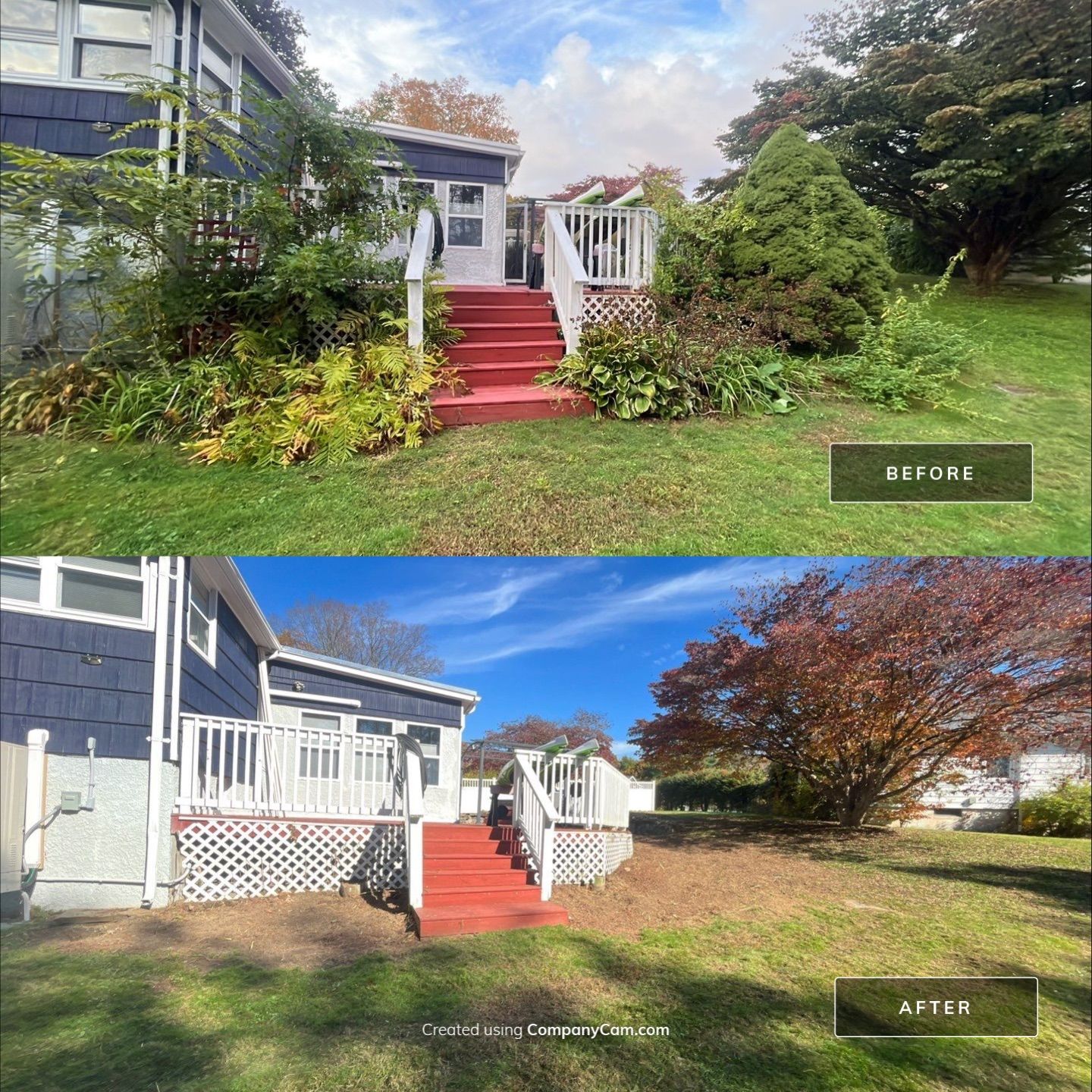 before and after of cleaning flowerbed